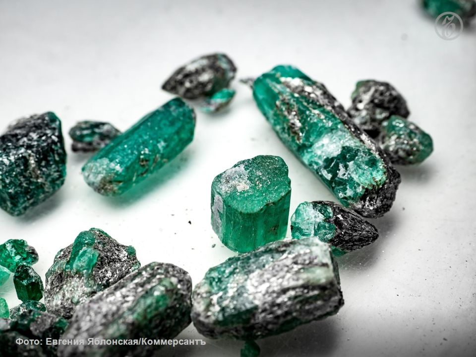 � ������� 1831 ����, ����� 195 ��� �����, ���� ��������� ���������� � ���������� �������� ���������� �� ������������� ��������� ��������