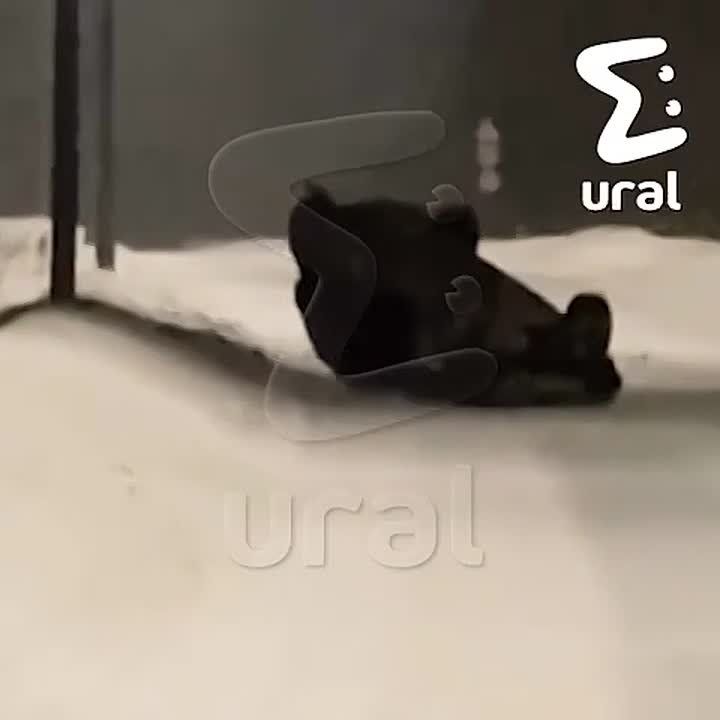 Екатеринбуржец на "восьмёрке" довыделывался на заснеженной дороге и перевернулся