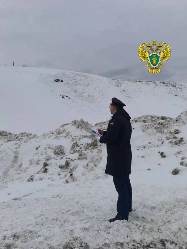 1234. � ��������� ������ ����������� �������� �������� � ����� � ������� ���� ���������� � ���������� ����� �����