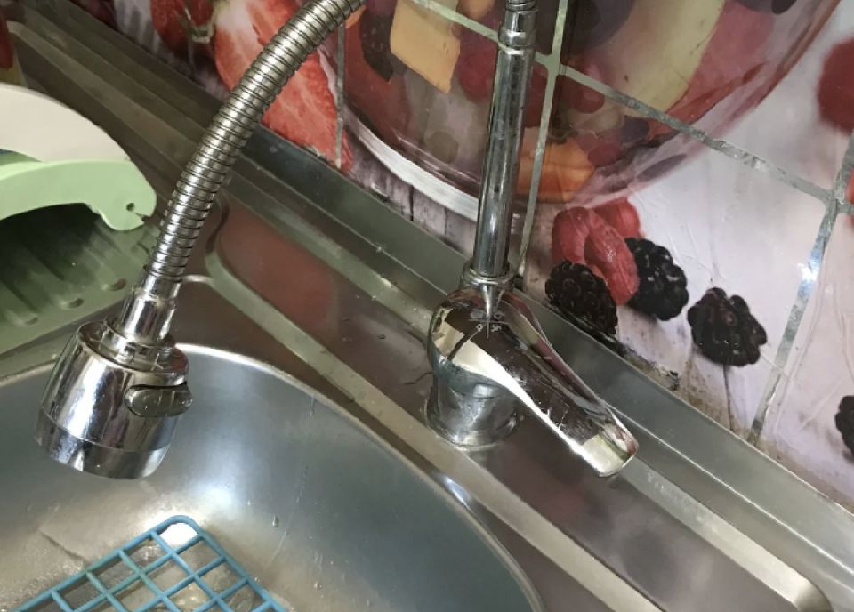 ����������� ��������: ��� ������ ����� ����� �������� ���� �����