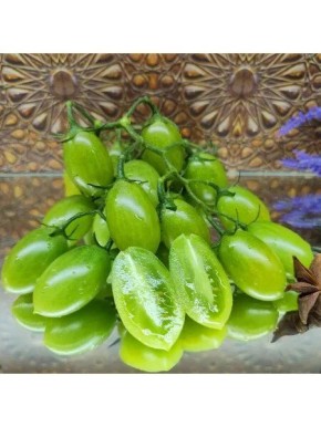 ����� ������� ��������: ������� ��� ����������� ����� � ������������