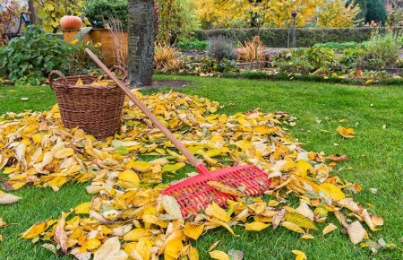 12 ����������� ������, ������ ������ ���� ����� ����� ����� ���� ������