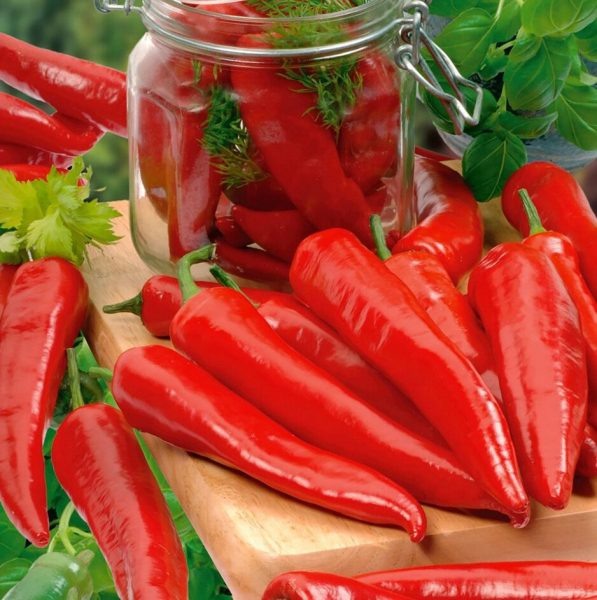 Перец Профи: как создать идеальный урожай на своем участке