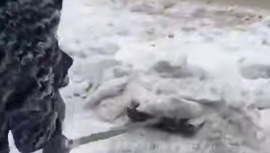 ������ ������������� ���� ������ �������� ����� ������� ������������ �����