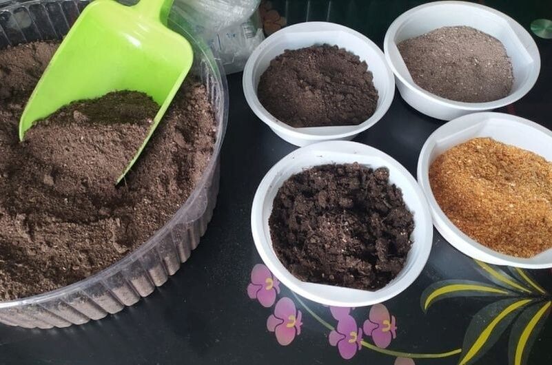 Как выбрать качественный грунт для рассады: советы и рекомендации