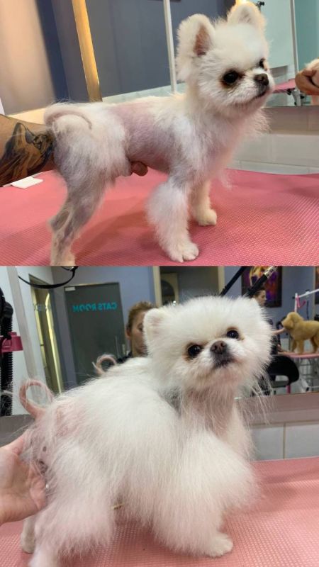 ��������� ����������� �������� �� ��������� ��� �������� ���� ���������� ���������