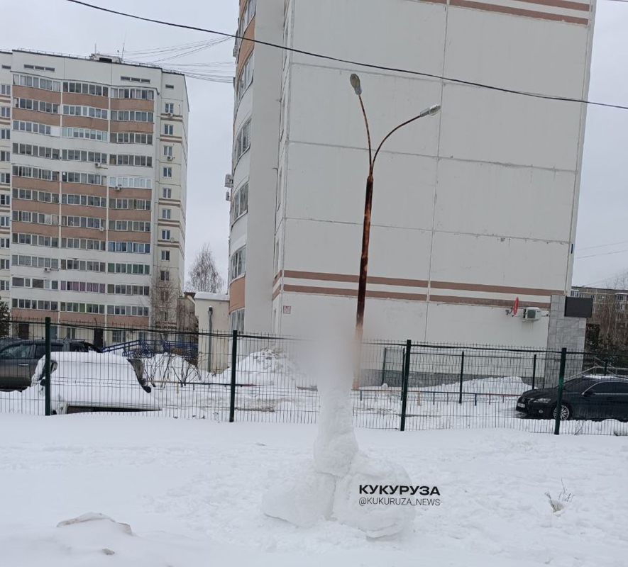 В Екатеринбург вернулись «членовики»