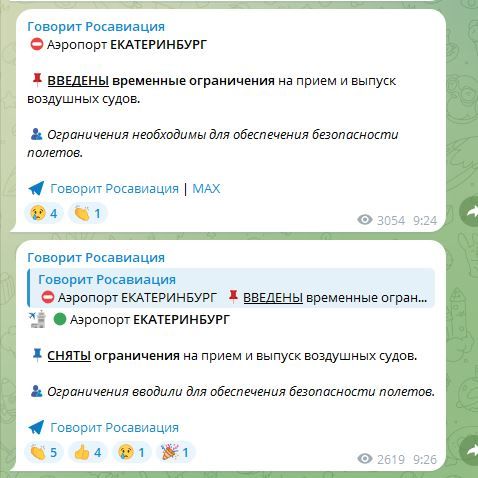 Кольцово закрывали для обеспечения безопасности полетов на две минуты