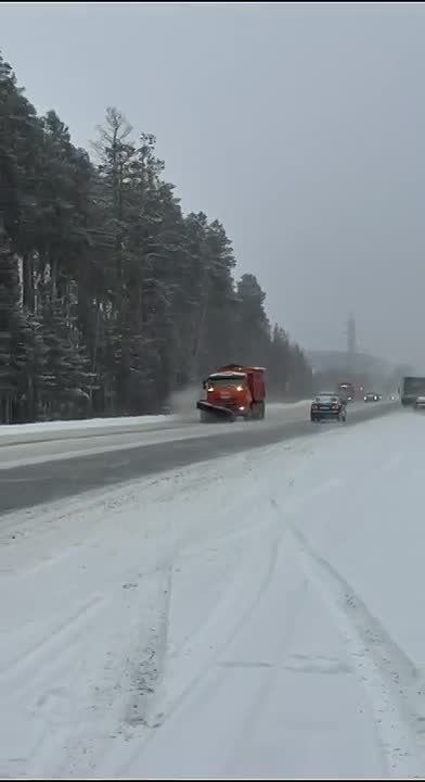 ��������� ������ �� ������������ ������ 444 ������� ����������� ��� ��������� ���������