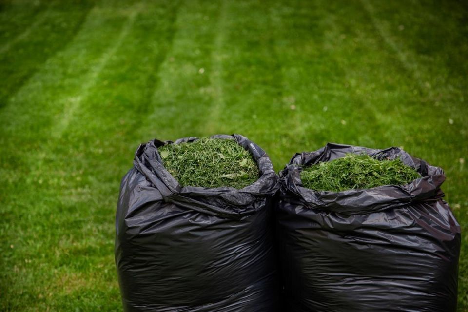 Неожиданное применение скошенной травы: как преобразить ваш участок