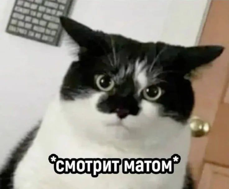 �� ��� � ��������� ������������� ����� ������� ����� �� 300 ����� ������