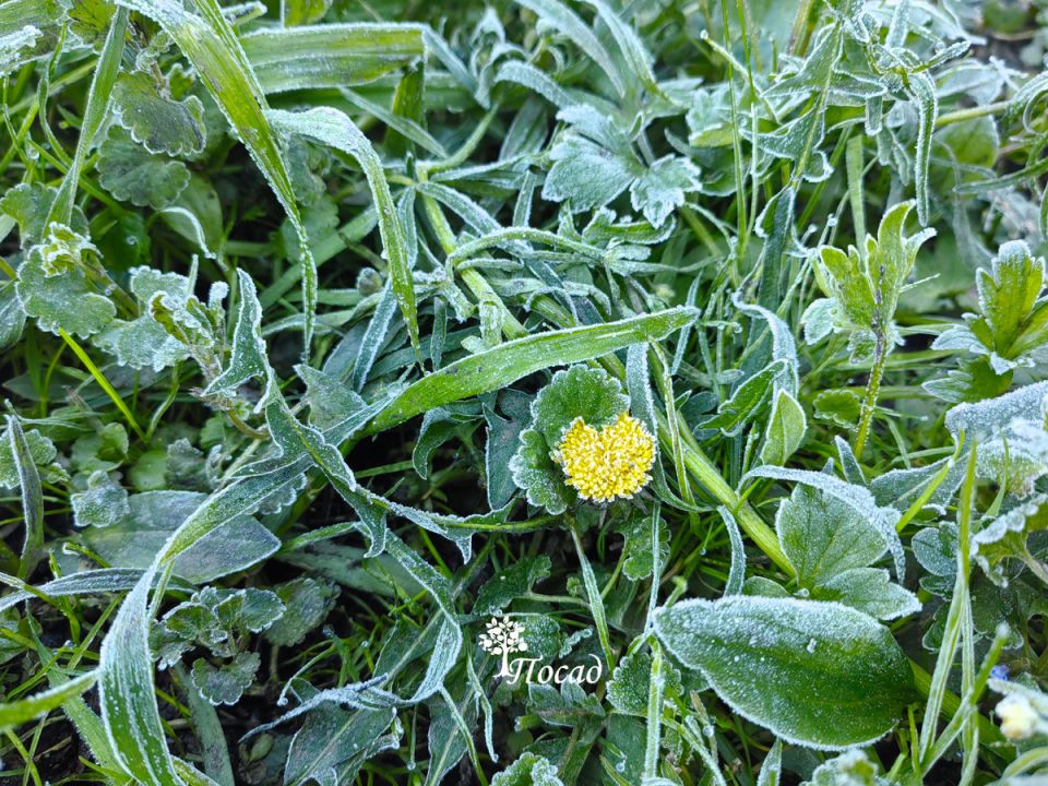 ��� �������� �������� �� ����������� ���������� � ��� ��������