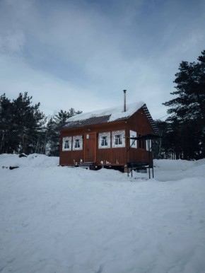 Вот уже середина недели, совсем скоро — долгожданные выходные