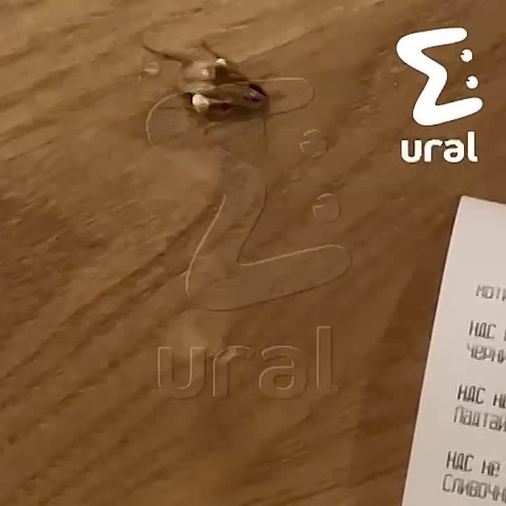 �������������� ����� ��������, ��������� �� ����� � ���������� ���-������������ Estory � "��������"