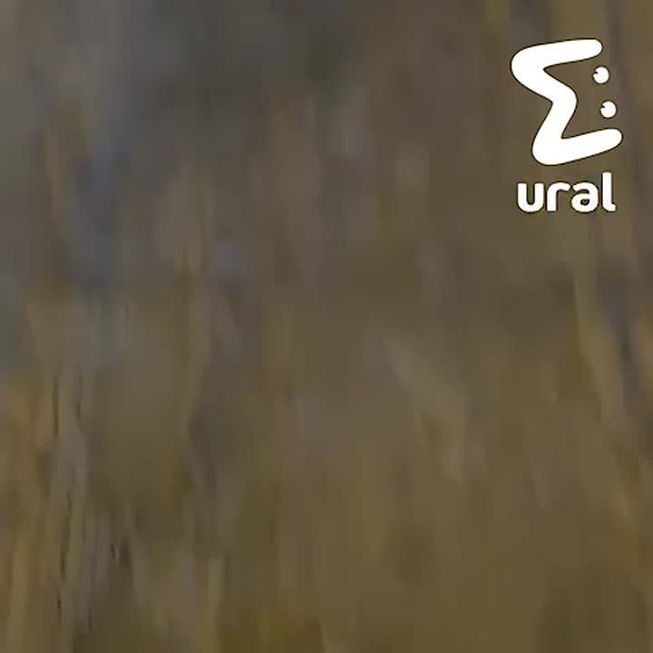 ��������� ����������� ��������� � ������������ ����� ������� ����������