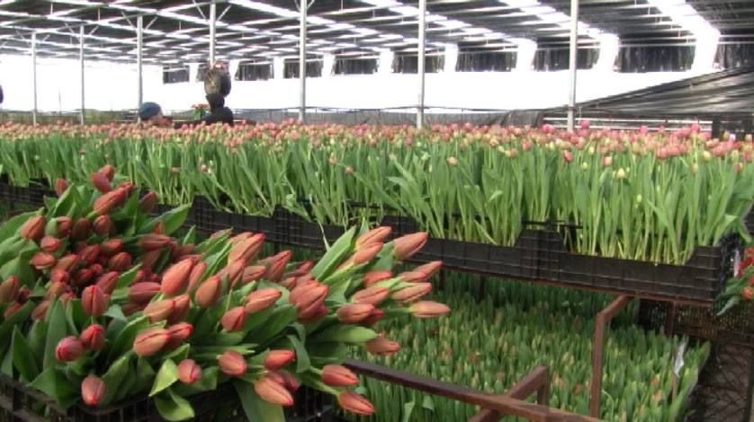 �� ����� �������� ������������ ������������ ����� ������� �������� ������