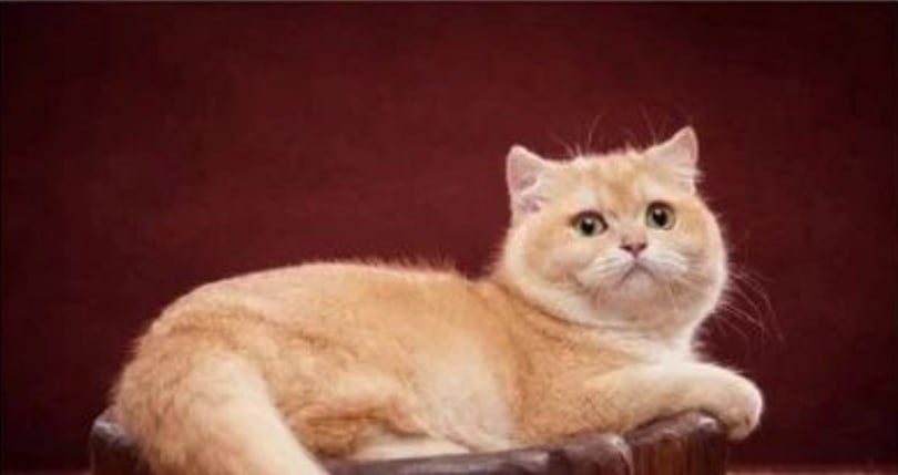 � ������������� ������� ����� �� 200 ����� ������