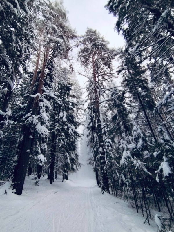 ������� ��� ���� ����������� � � �����!