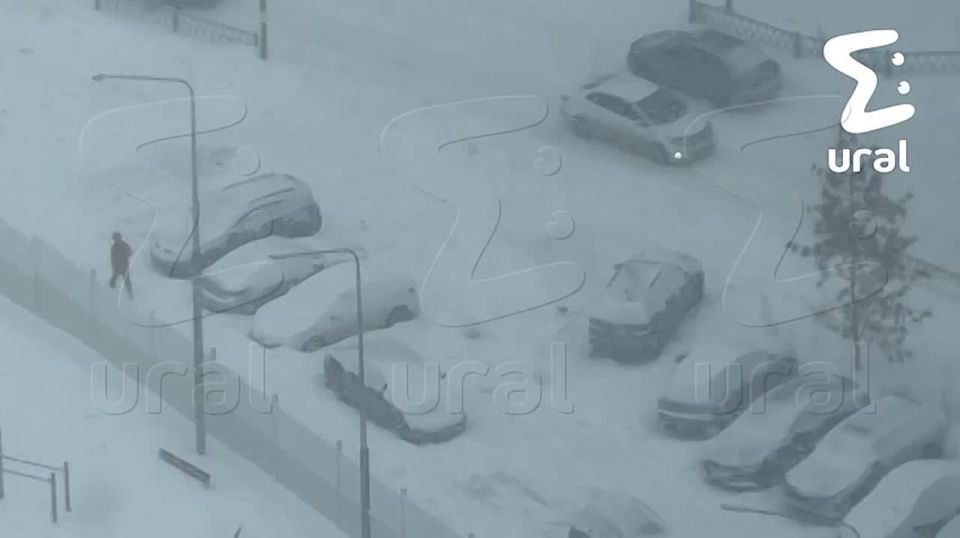 ������������ �������� ������ � � ������ ������ ������