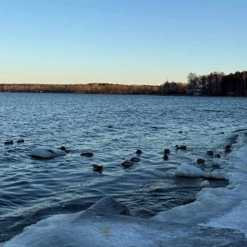 �������������� ���� �������� �������� �� �������