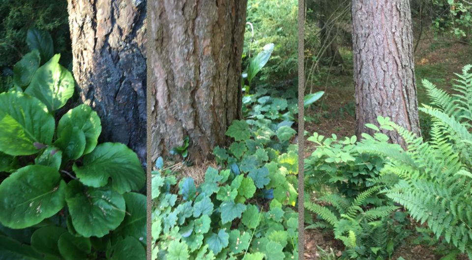 �������� ��� ������: �������� ������ ��� ���������