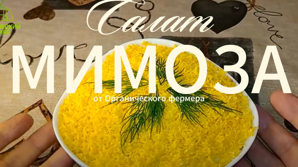 ����� ������: ������ �� ���� �������� ��������� � �������� ��� �����