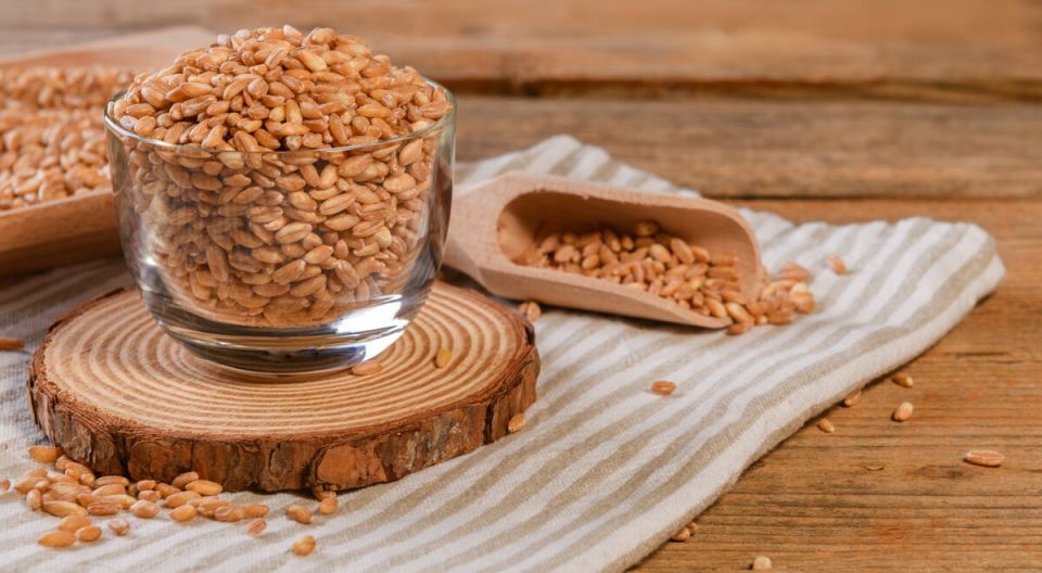 �����: ��������� ������� ������ � ��� ����������� ������������