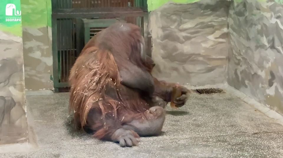 ��������� �������� ��������� ������� �� �����������