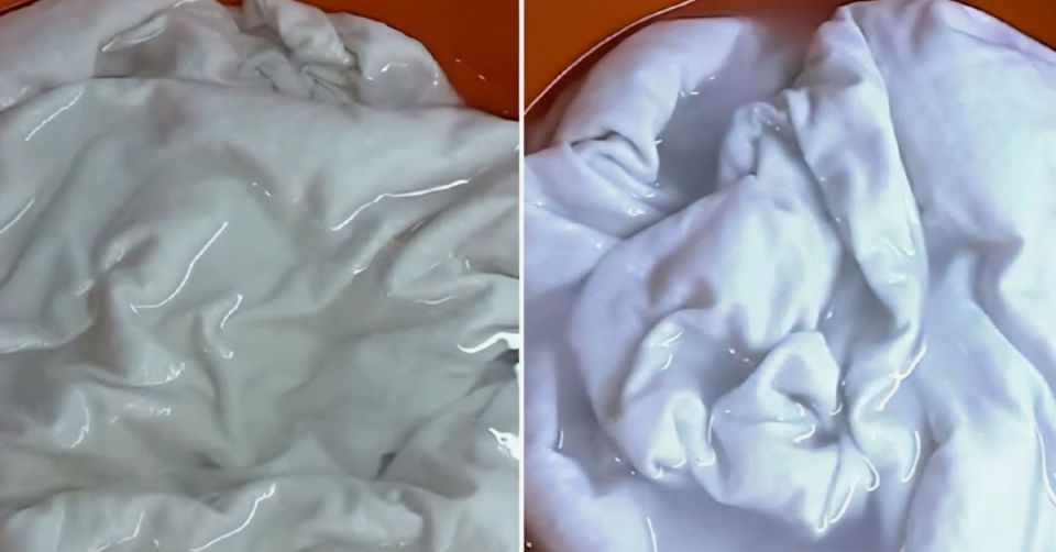 ��������� ������������, ������� ������� ������ �����������