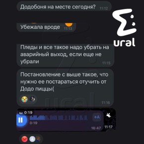 Работникам челябинской "Додо Пиццы" нужно отучить собаку Додобоню от ночлежки у кафе — так решило руководство компании