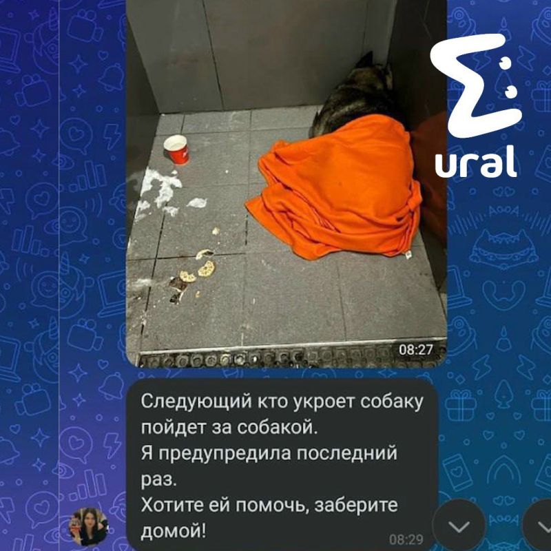 ������ "���� �����", �������� ������� ��-�� ������ ������, ��� ������ � ��� ���� �����