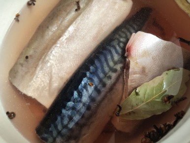 ��� ����������� ����� �������� �������� �� ������� � �������� � �������� ��������