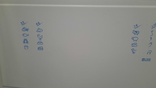 Пять секретов для идеальной морозильной камеры: как ухаживать правильно