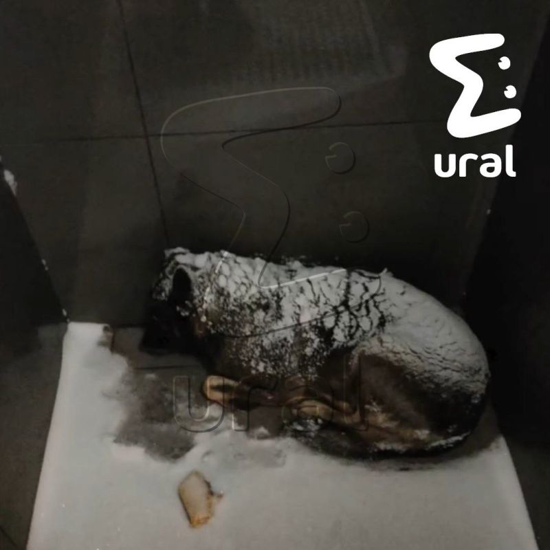 ��������� ������� ���� �� ���������� �������� � ��������� ������, ��-�� ������ ������� ������� ������� "���� �����"