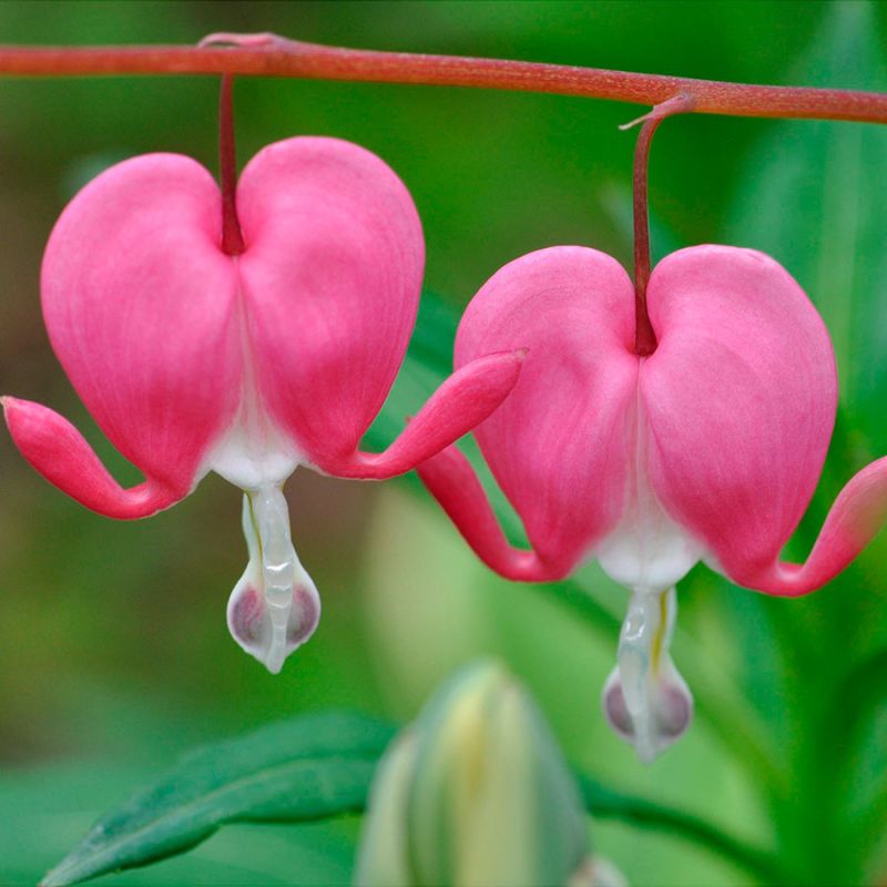 ��������: ��� ��������� ���� ���� � ��������������� �������