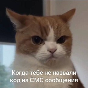 Мошенники обиделись и начали мстить свердловчанам, которые не повелись на их схемы