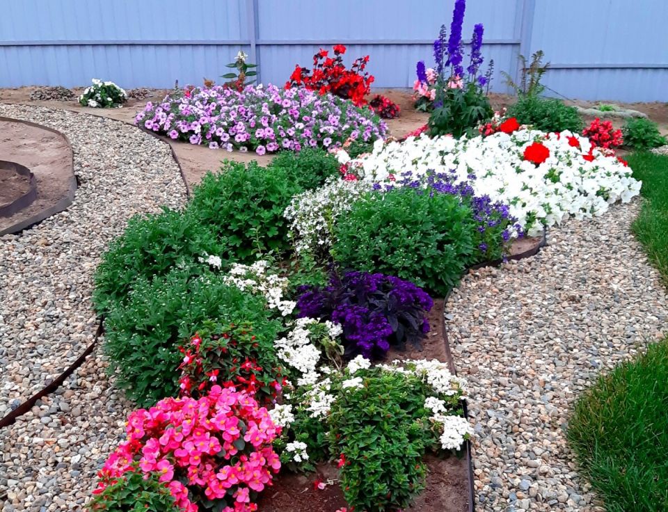 ��������� �����������: ����� ����������� ������� ��� ��� � ����� ������