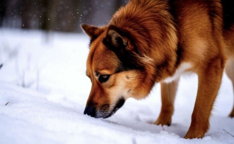 � ������������� ����� ������� ����� ����������� �����: ���������� ����������������