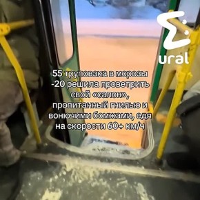 Зумеры сделали новый тренд из екатских автобусов с бесплатным кондеем