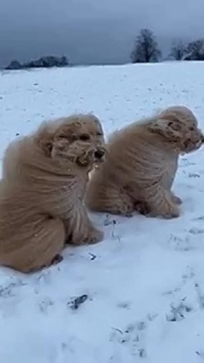 � ������������ ������� ����� 30-��������� ������