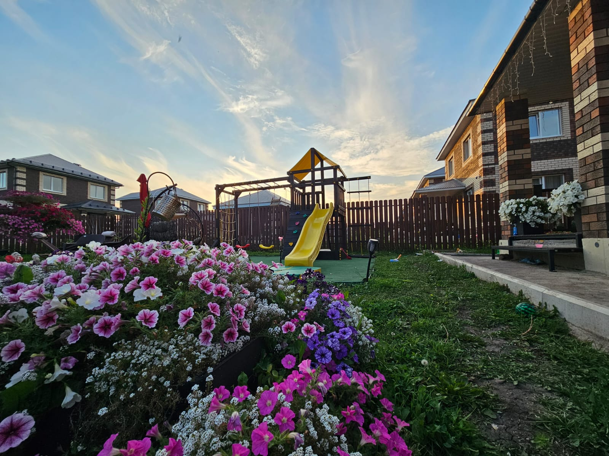 Как подготовить сад к весне: семена однолетних цветов для февраля