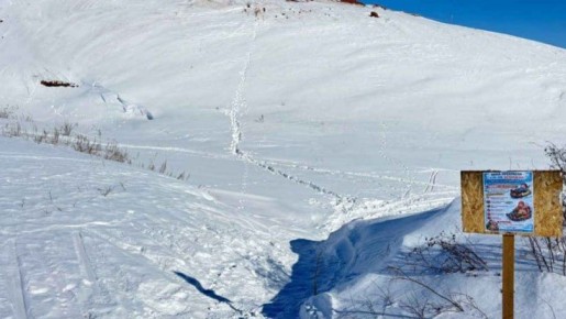 В Оренбургской области погибли дети экс-солистки "Вороваек"