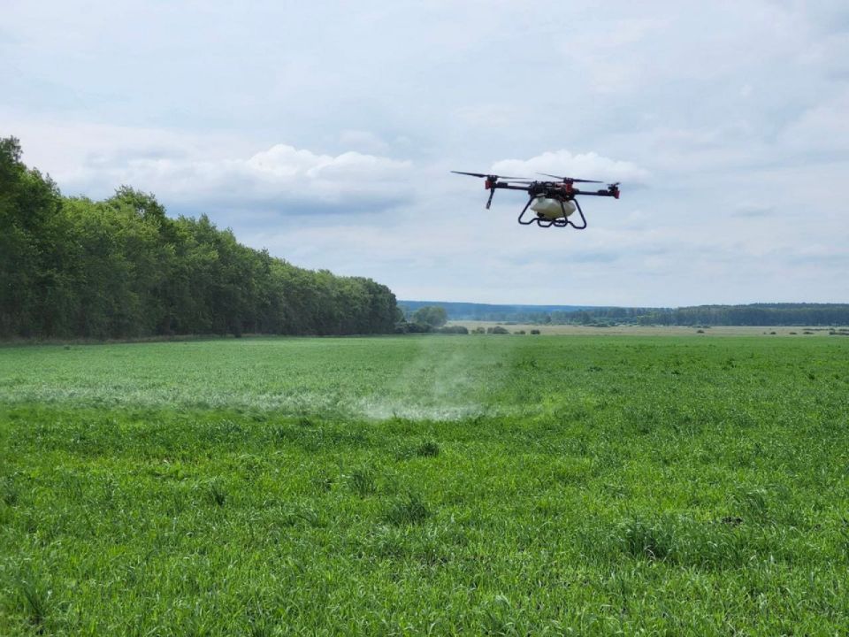 ������������ ������� ����� � ���-10 �������� � �������� ��������������� � ���������������� ���������