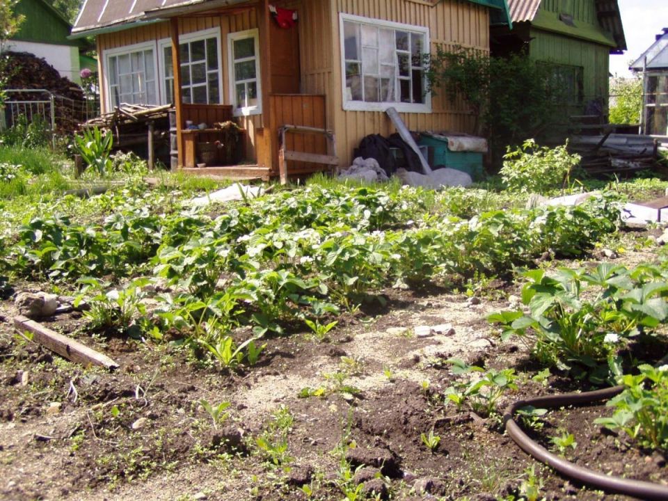 ��� ������� ������� ������� ����� �������� � ��������� � �������