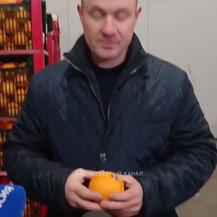 Стоимость апельсинов начнёт снижаться: 44 тонны египетского сорта «Валенсия» привезли на Урал