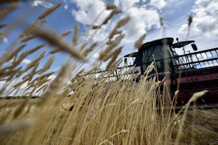 Свердловская область поднялась в рейтинге инновационности регионов в АПК на 13 позиций вверх по сравнению с рейтингом 2024 года