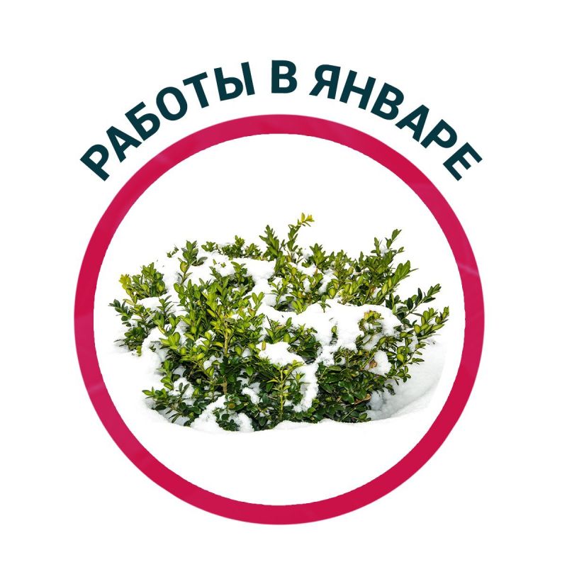 ������ ������ � ����: ���� �������� �� ������