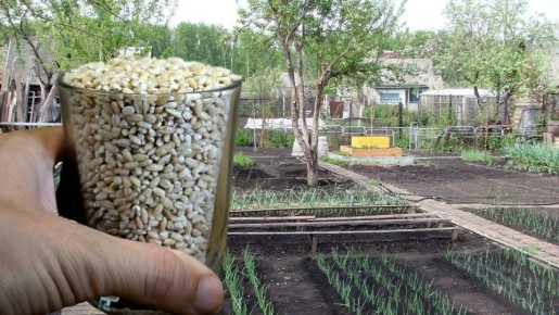 ��������� ������ �������� ������: ������ �������� ����� ������ �������� ��� ��������