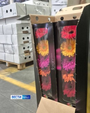 ����� � 8 ����� �� ���� ������� ����� 8 ��� ��������� ������