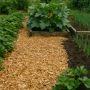 Опилки в огороде: секрет успешного урожая